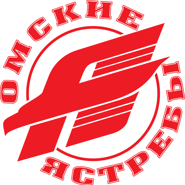 Omskie Yastreby 2009-Pres Primary Logo iron on heat transfer